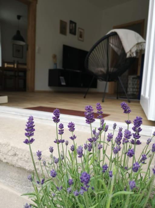 גרימה Ferienwohnung Zur Parthe מראה חיצוני תמונה
